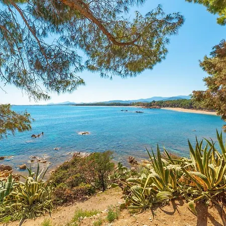 Grappa * باري ساردو